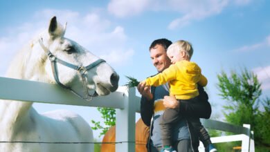 Horse with dad and som pic scaled 1