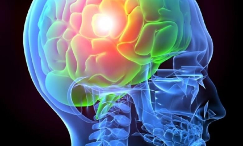 Top 10 Facts About Rehabilitation in Traumatic Brain Injury In 2023